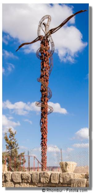 Bronze Serpent image